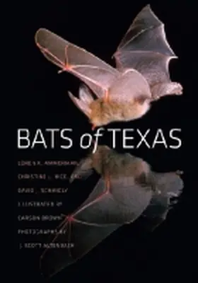 Ammerman / Hice / Schmidly |  Bats of Texas | Buch |  Sack Fachmedien