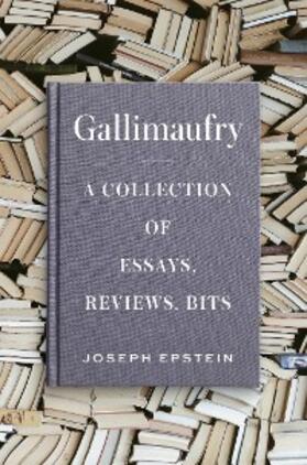 Epstein |  Gallimaufry | eBook | Sack Fachmedien