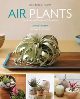Sengo |  Air Plants | eBook | Sack Fachmedien