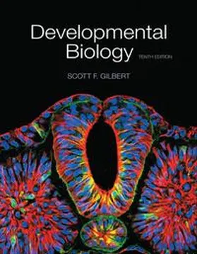 Gilbert |  Developmental Biology | Buch |  Sack Fachmedien