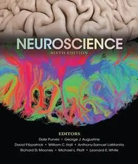 Purves / Augustine / Fitzpatrick |  Neuroscience | Buch |  Sack Fachmedien