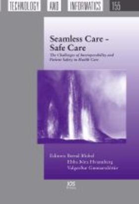 Blobel / Hvannberg / Gunnarsdóttir |  Seamless Care – Safe Care | Buch |  Sack Fachmedien