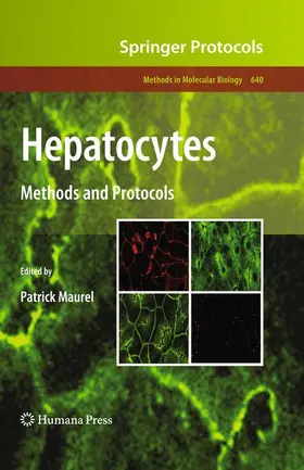 Maurel |  Hepatocytes | Buch |  Sack Fachmedien