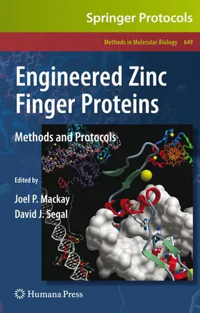 Mackay / Segal | Engineered Zinc Finger Proteins | Buch | 978-1-60761-752-5 | www2.sack.de