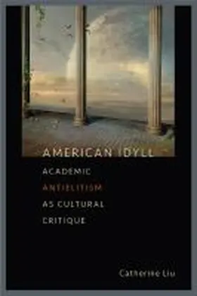 Liu |  American Idyll: Academic Antielitism as Cultural Critique | Buch |  Sack Fachmedien