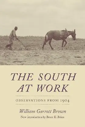 Brown |  The South at Work | eBook | Sack Fachmedien