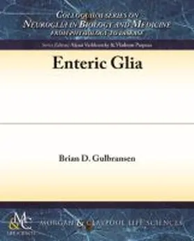 Gulbransen |  Enteric Glia | Buch |  Sack Fachmedien
