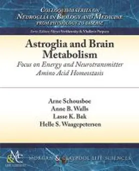 Schousboe / Walls / Bak |  Astroglia and Brain Metabolism | Buch |  Sack Fachmedien