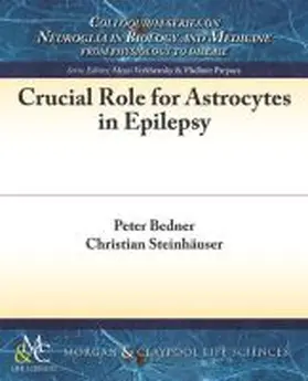 Bedner / Steinhäuser |  Crucial Role for Astrocytes in Epilepsy | Buch |  Sack Fachmedien