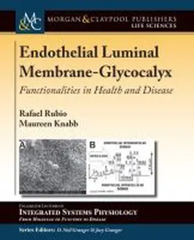 Rubio / Knabb / Granger |  Endothelial Luminal Membrane-Glycocalyx | Buch |  Sack Fachmedien
