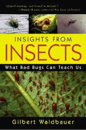 Waldbauer |  Insights From Insects | eBook | Sack Fachmedien