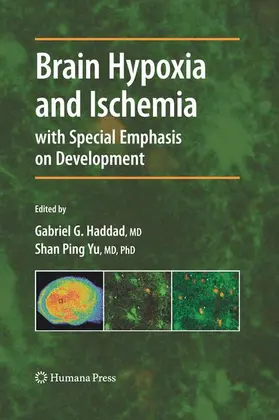 Haddad / Yu |  Brain Hypoxia and Ischemia | Buch |  Sack Fachmedien