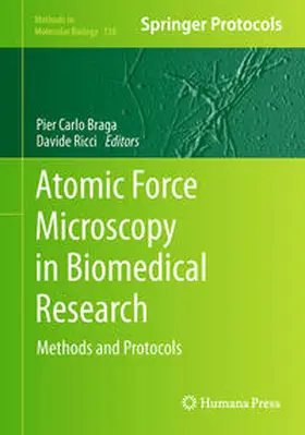 Braga / Ricci |  Atomic Force Microscopy in Biomedical Research | eBook | Sack Fachmedien