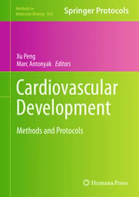 Peng / Antonyak |  Cardiovascular Development | eBook | Sack Fachmedien