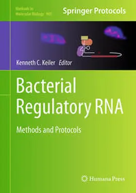 Keiler |  Bacterial Regulatory RNA | eBook | Sack Fachmedien