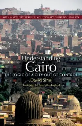 Sims |  Understanding Cairo | eBook | Sack Fachmedien