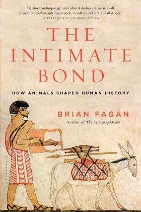 Fagan |  The Intimate Bond | Buch |  Sack Fachmedien