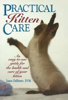 DeBitetto |  Practical Kitten Care | eBook | Sack Fachmedien