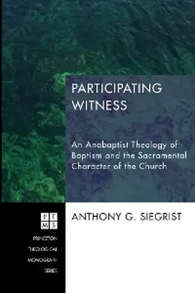 Siegrist |  Participating Witness | eBook | Sack Fachmedien