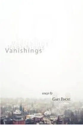 Fincke |  Vanishings | Buch |  Sack Fachmedien