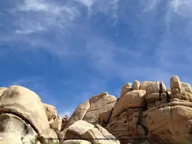 Marsh |  Pharaoh's Gold | eBook | Sack Fachmedien