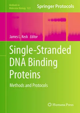 Keck |  Single-Stranded DNA Binding Proteins | eBook | Sack Fachmedien