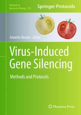 Becker |  Virus-Induced Gene Silencing | eBook | Sack Fachmedien