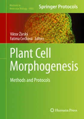 Žárský / Zárský / Cvrcková |  Plant Cell Morphogenesis | eBook | Sack Fachmedien