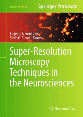 Rizzoli / Fornasiero |  Super-Resolution Microscopy Techniques in the Neurosciences | Buch |  Sack Fachmedien