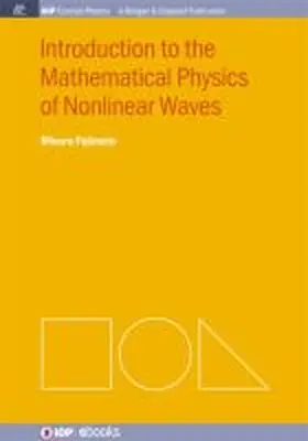 Fujimoto | Introduction to the Mathematical Physics of Nonlinear Waves | Buch | 978-1-62705-275-7 | sack.de