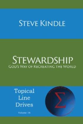 Kindle |  Stewardship | eBook | Sack Fachmedien
