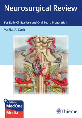 Zerris |  Neurosurgical Review | eBook | Sack Fachmedien