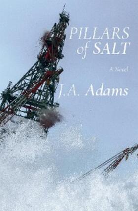 Adams |  Pillars of Salt | eBook | Sack Fachmedien