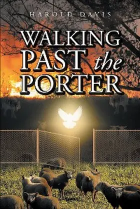 Davis |  Walking Past the Porter | eBook | Sack Fachmedien