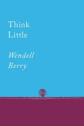 Berry |  Think Little | eBook | Sack Fachmedien