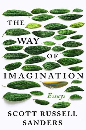 Sanders |  The Way of Imagination | eBook | Sack Fachmedien