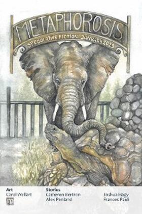 Magazine / Allen |  Metaphorosis January 2023 | eBook | Sack Fachmedien