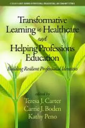 Carter / Boden / Peno |  Transformative Learning in Healthcare and Helping Professions Education | Buch |  Sack Fachmedien