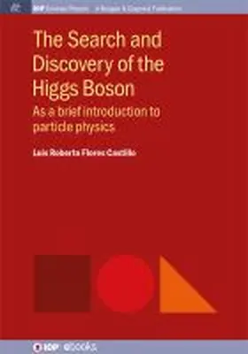 Castillo |  The Search and Discovery of the Higgs Boson | Buch |  Sack Fachmedien