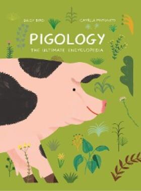 Bird / Pintonato |  Pigology | eBook | Sack Fachmedien