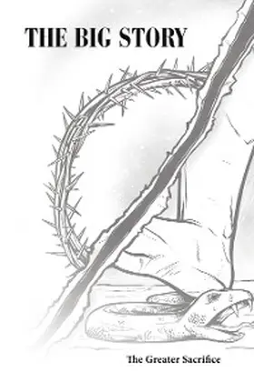 Stone |  The Big Story | eBook | Sack Fachmedien