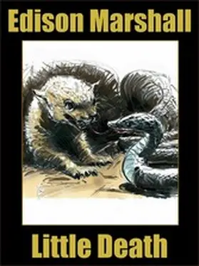 Marshall |  Little Death | eBook | Sack Fachmedien