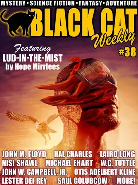 Long / Mirrlees / Floyd |  Black Cat Weekly #38 | eBook | Sack Fachmedien