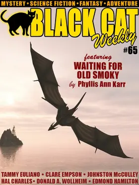 Karr / Whittaker / Euliano |  Black Cat Weekly #65 | eBook | Sack Fachmedien
