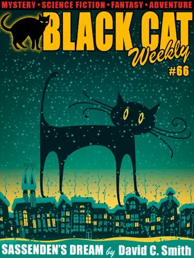 Smith / Tuttle / Fast |  Black Cat Weekly #66 | eBook | Sack Fachmedien
