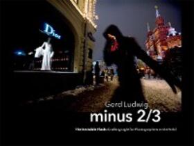 Ludwig |  Minus 2/3 - The Invisible Flash | eBook | Sack Fachmedien
