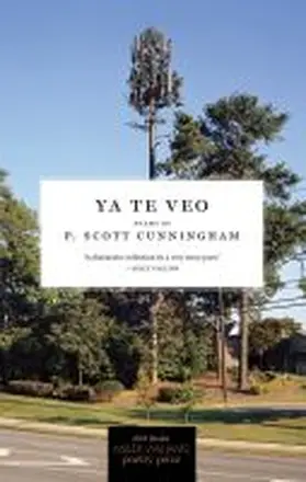 Cunningham |  YA Te Veo | Buch |  Sack Fachmedien