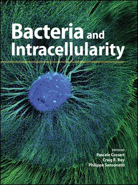 Cossart / Roy / Sansonetti | Bacteria and Intracellularity | Buch | 978-1-68367-025-4 | sack.de
