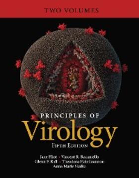 Flint / Racaniello / Rall |  Principles of Virology | eBook | Sack Fachmedien