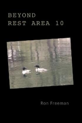 Freeman |  Beyond Rest Area 10 | eBook | Sack Fachmedien